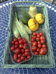 Autumn veg harvested today, squashes, sweetcorn and tomatoes