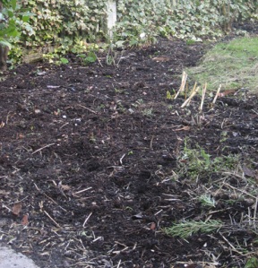 Herb and flower bed mulched with our own compost