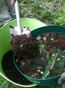 Sieving home made compost